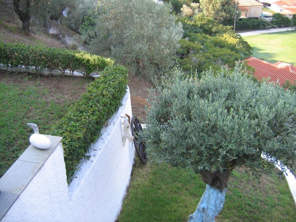 Villa Frideriki Agia Paraskevi  Habitación foto